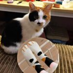Thick, Warm Winter Socks with Fluffy Cat Paw Design - Image 2