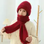 Integrated Ear Protection Windproof Cap Scarf - Image 3