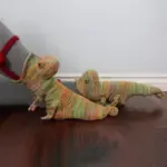 3D Knit Crocodile Socks - Image 7